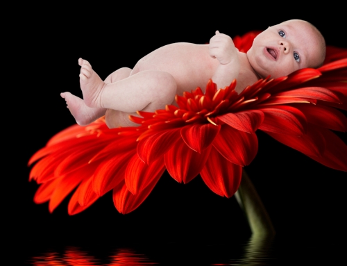 Mommy’s Darling Studio Photography 10