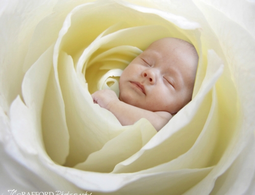 Mommy’s Darling Studio Photography 9